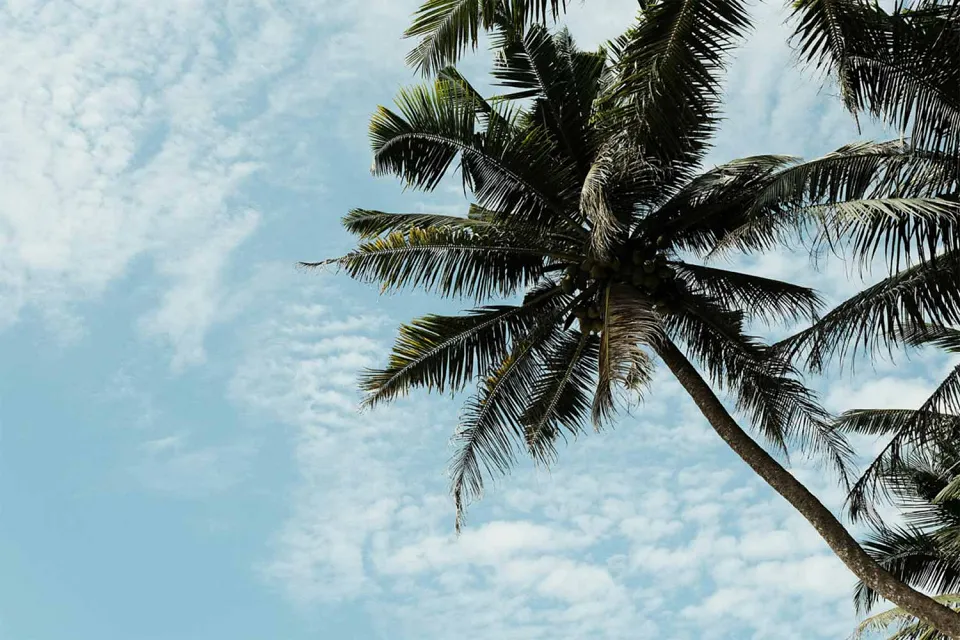 Onto the ocean on Essential Sri Lanka