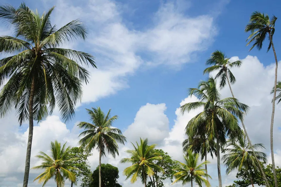 Homeward bound on Simply Sri Lanka