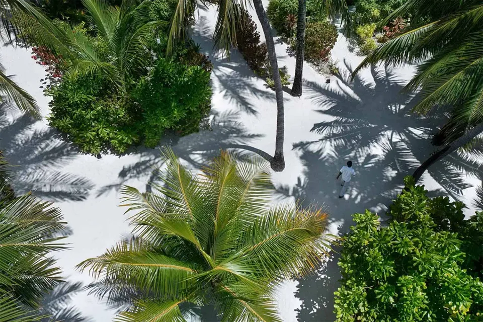 Wedded bliss on Honeymoon to Sri Lanka and The Maldives