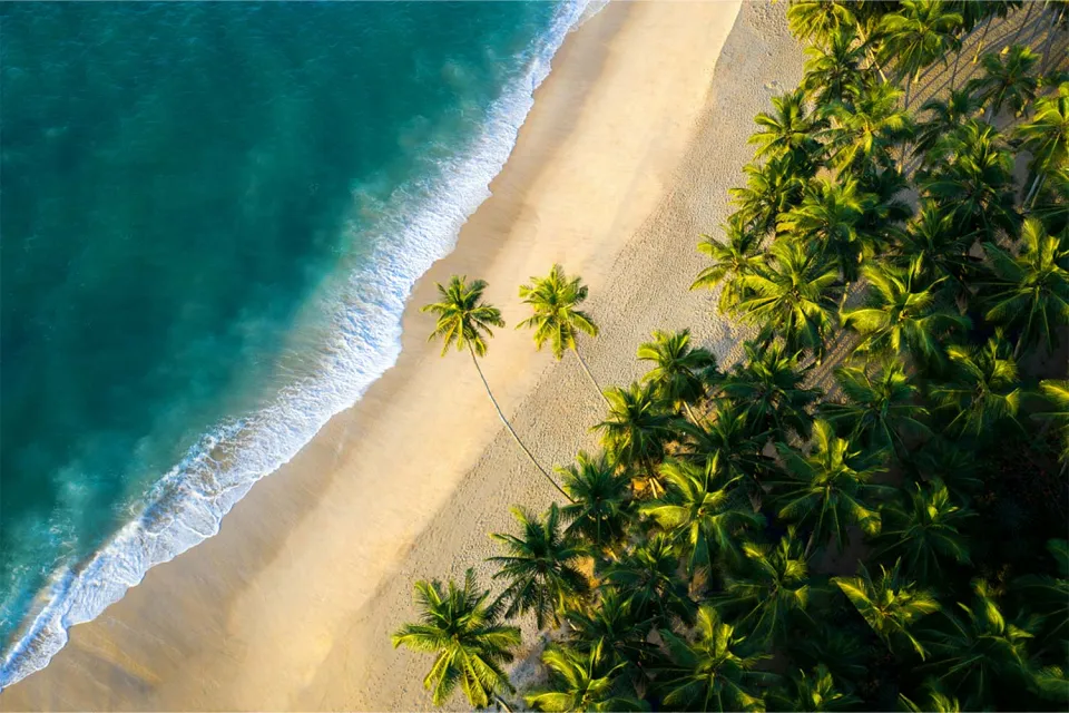 Relaxation time on Sri Lanka Tea and Beach