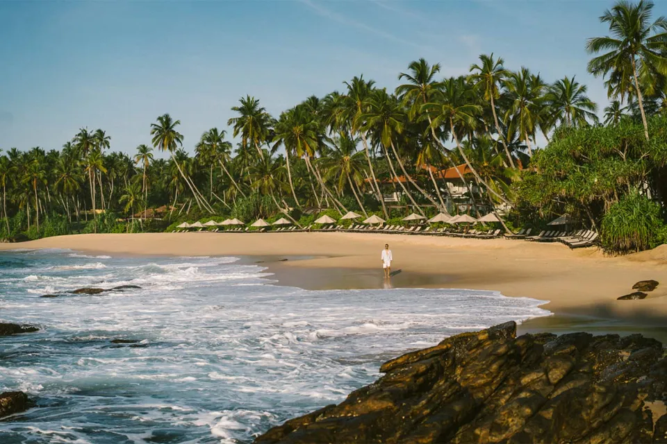 Beachside moments on Sri Lanka Tea and Beach