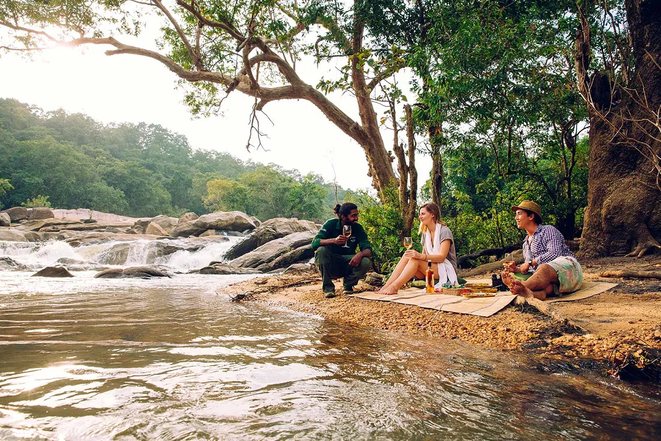 Swimming elephants on Uniquely Sri Lanka