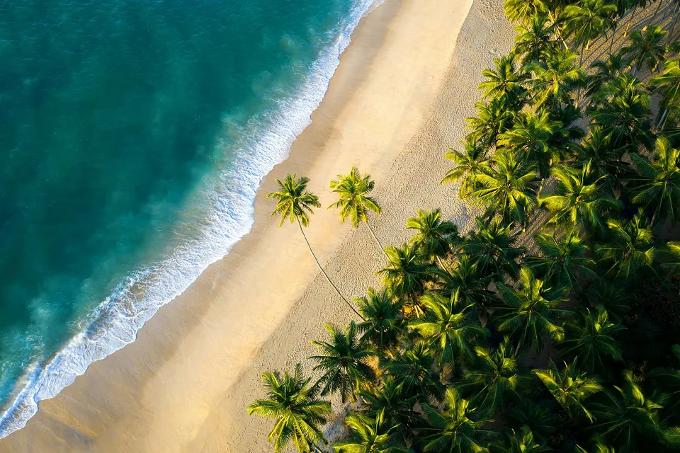To the coast on Uniquely Sri Lanka