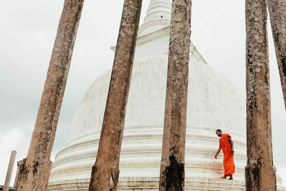 Homeward bound on Honeymoon to Sri Lanka in the Winter