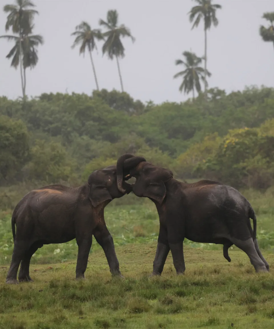 What we love — gallery photograph 4