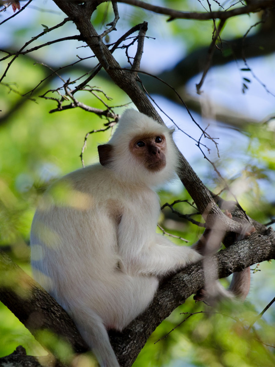 Luxury hotel gallery image