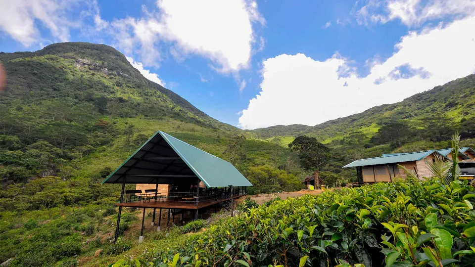Wild Glamping — hotel photograph