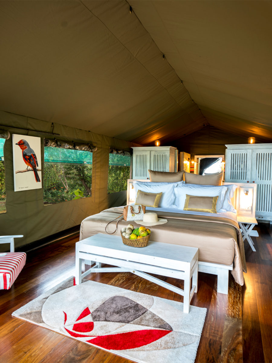 Luxury hotel gallery image