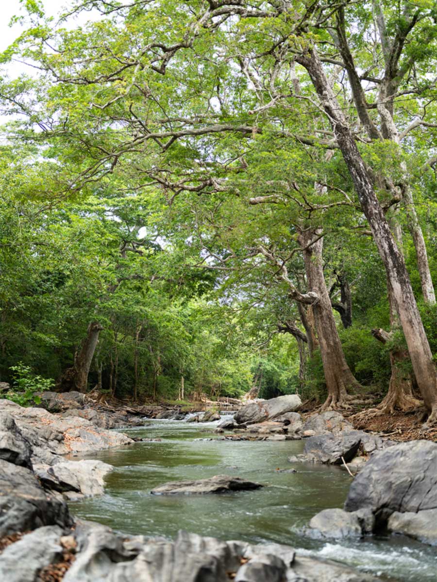 Luxury hotel gallery image