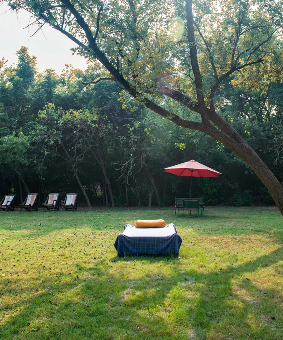 What we love — gallery photograph 4