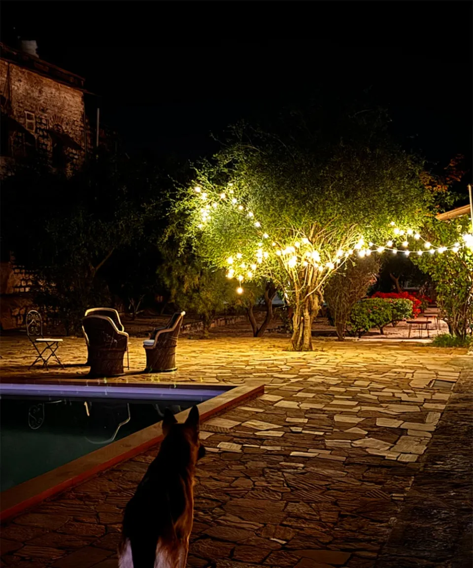What we love — gallery photograph 2