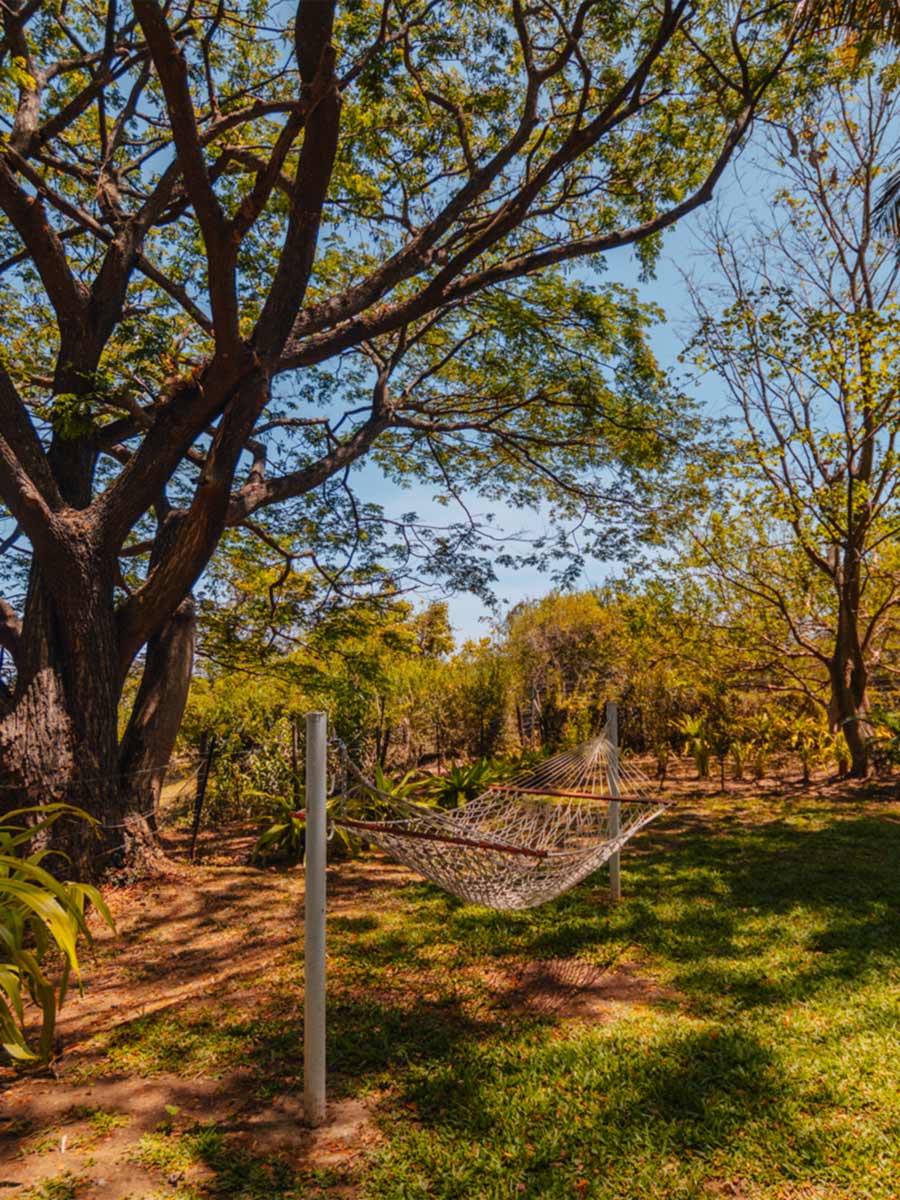 Luxury hotel gallery image