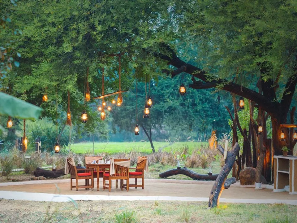 Jehan Numa Retreat in Central India & Tigers