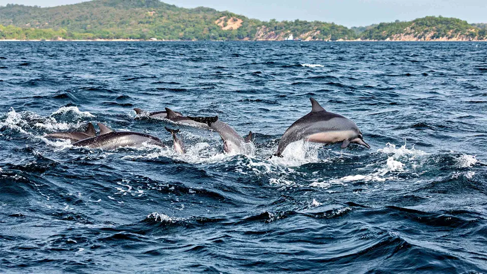 Trincomalee — hero photograph