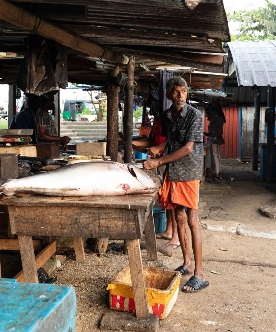 Private experiences in Galle — gallery photograph 2