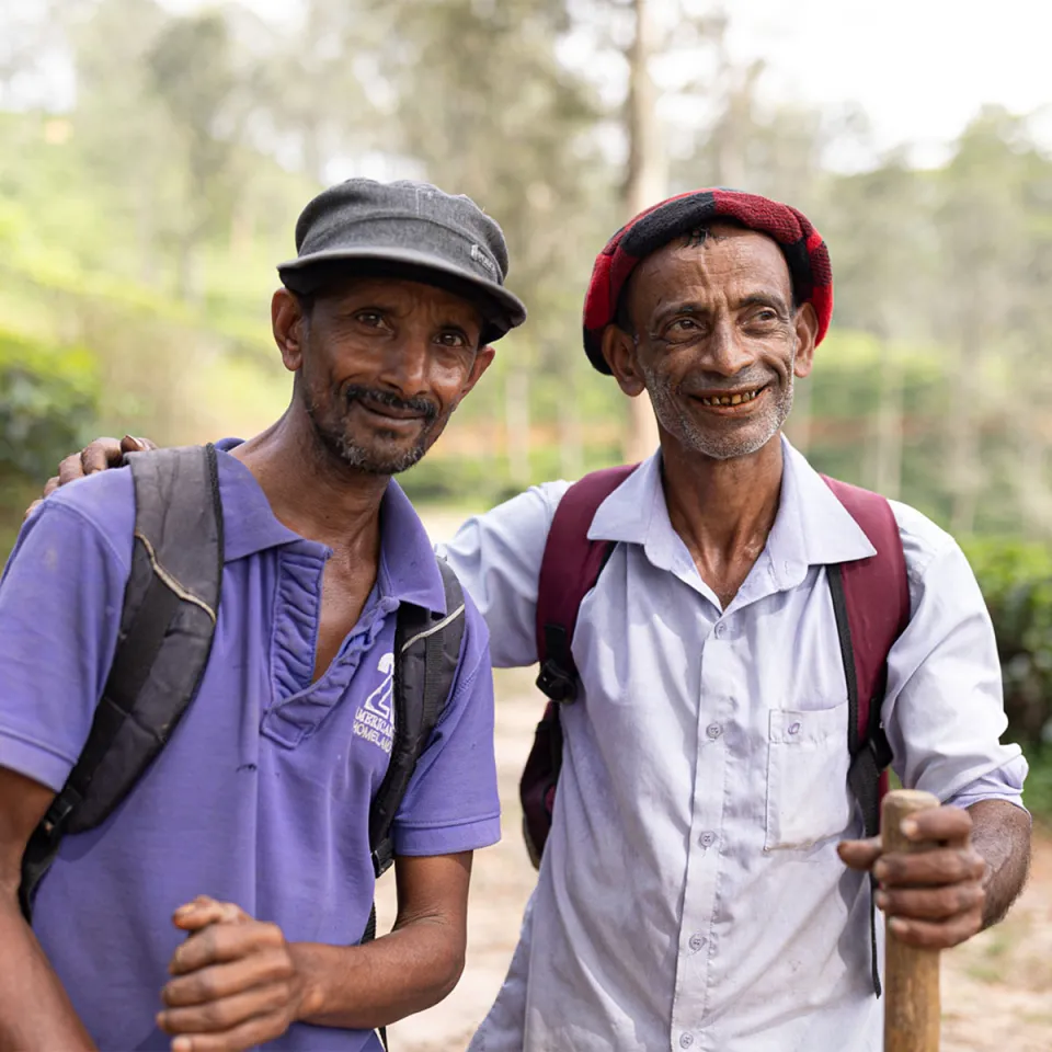 Need a helping hand? — gallery photograph