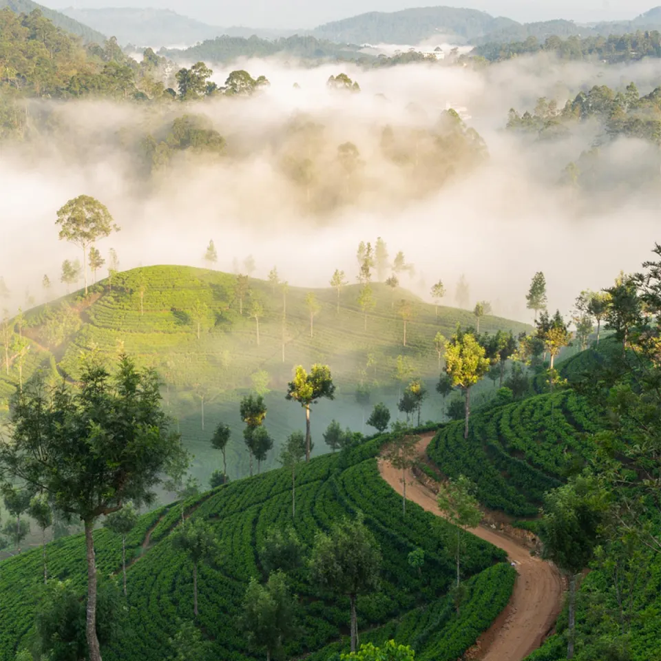 Haputale — travel photograph