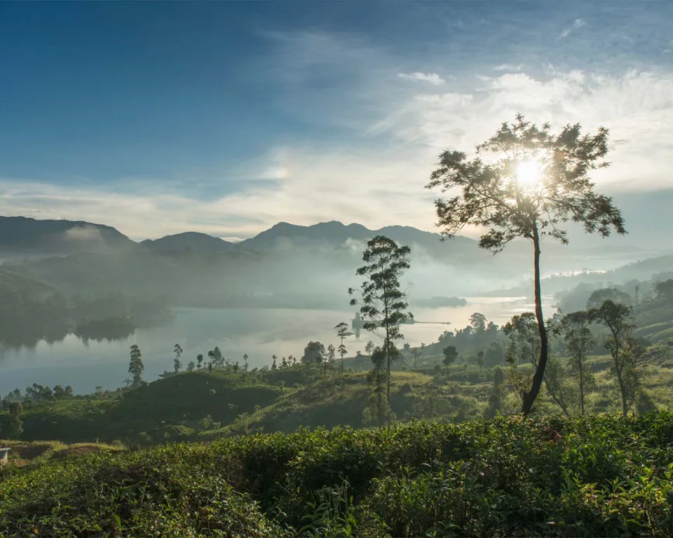 At a slightly higher altitude, Hatton sits in the heart of the tea country and is one the regions main towns. — gallery photograph 2