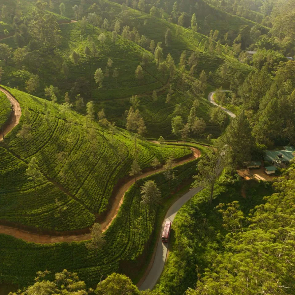 At a slightly higher altitude, Hatton sits in the heart of the tea country and is one the regions main towns. — gallery photograph 5