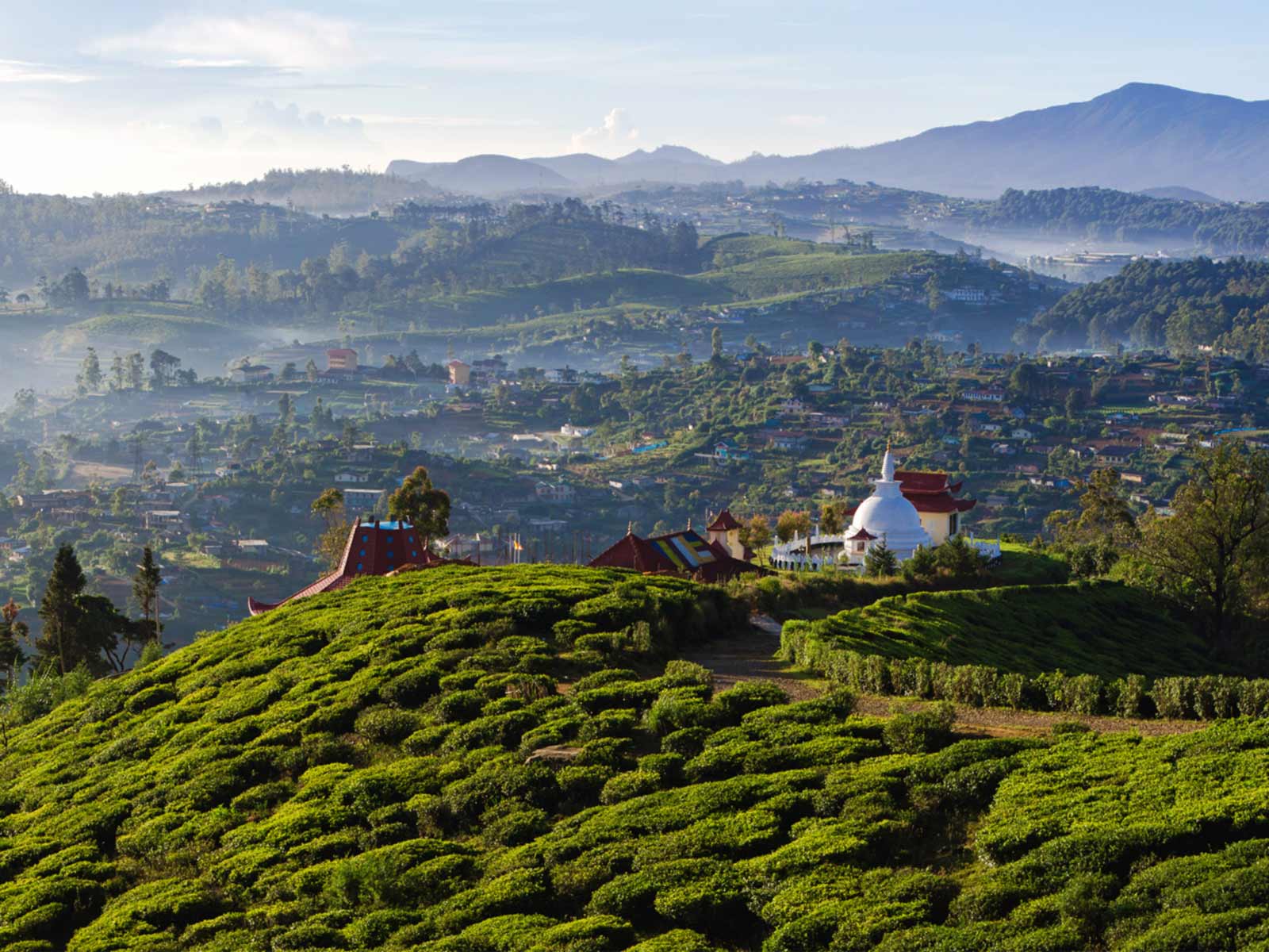 Nuwara Eliya-gallery