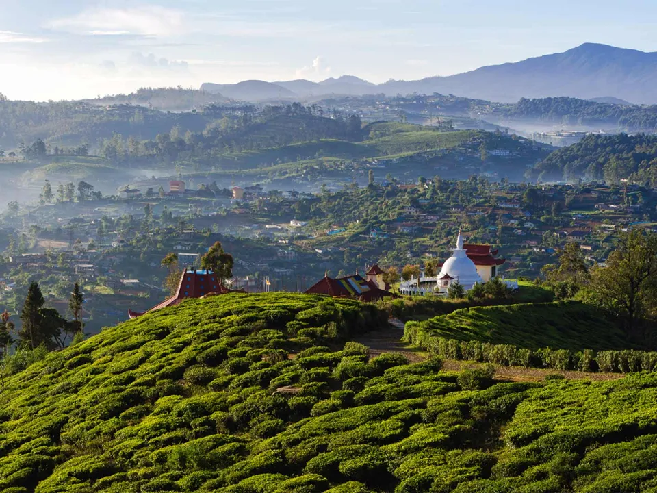 Nuwara Eliya sits high up in the tea country and is famous for its cool fresh climate, making it a very popular ret… — gallery photograph 5