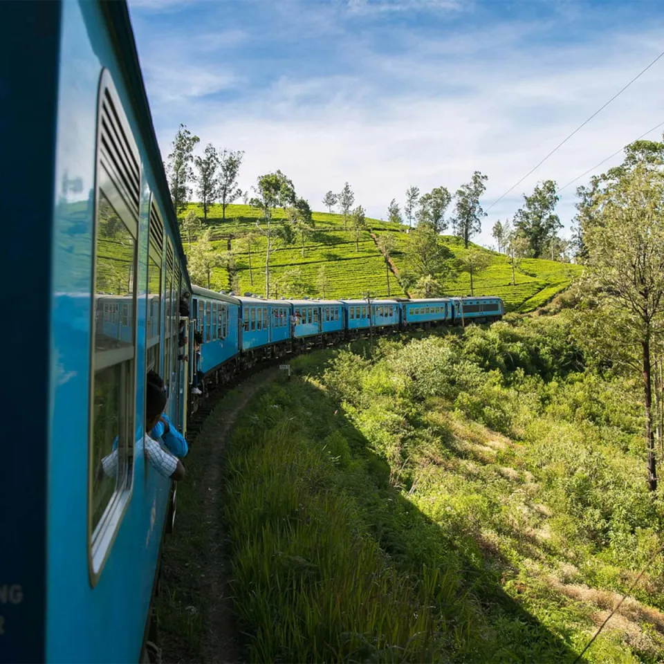 Nuwara Eliya sits high up in the tea country and is famous for its cool fresh climate, making it a very popular ret… — gallery photograph 6