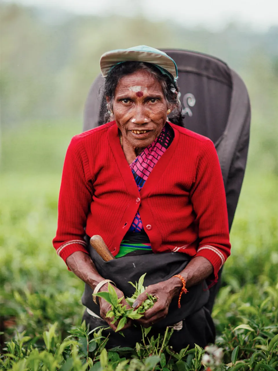 Need a helping hand? — gallery photograph