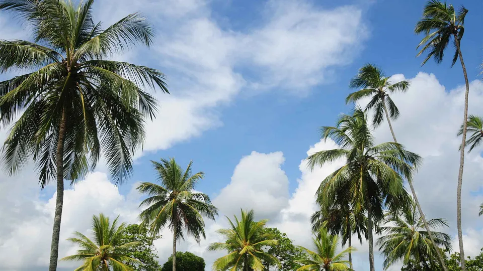 Bentota — hero photograph
