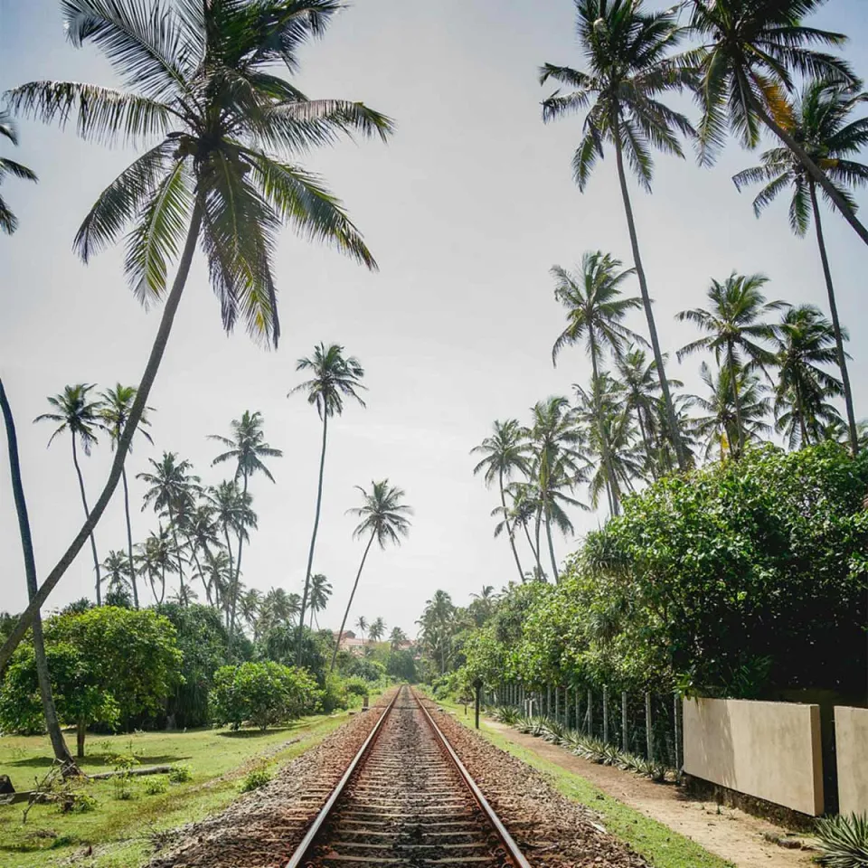 Bentota — travel photograph