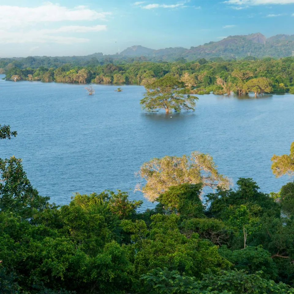 Kandalama — travel photograph