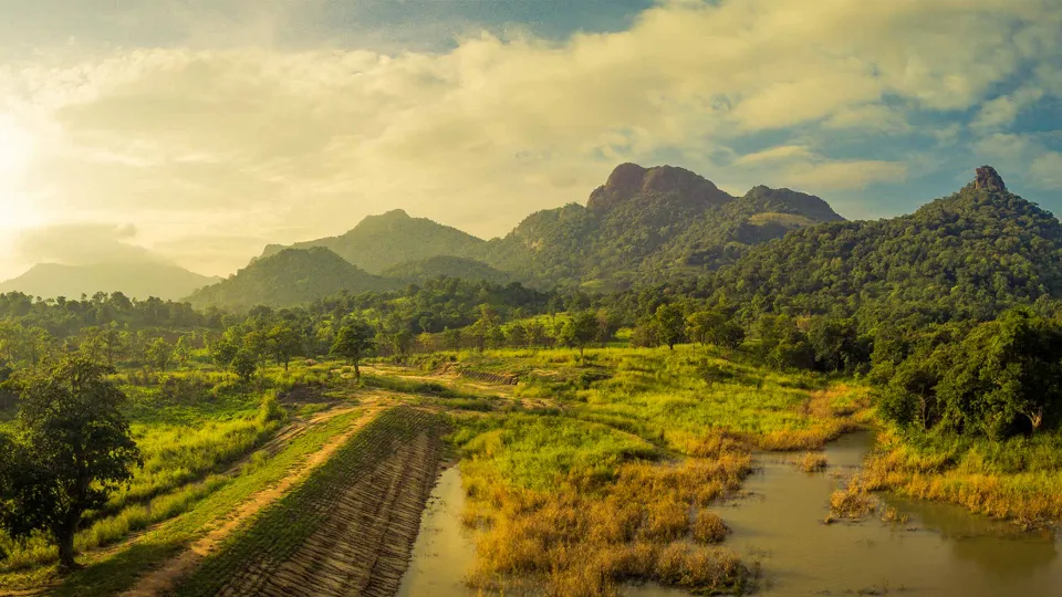 Gal Oya National Park offers something different. At the heart of the park is Senanay — hero photograph
