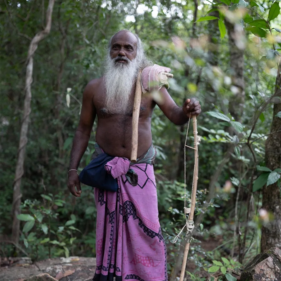 Gal Oya National Park-gallery — gallery photograph 2
