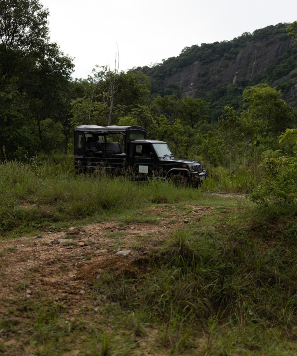 Gal Oya National Park-gallery