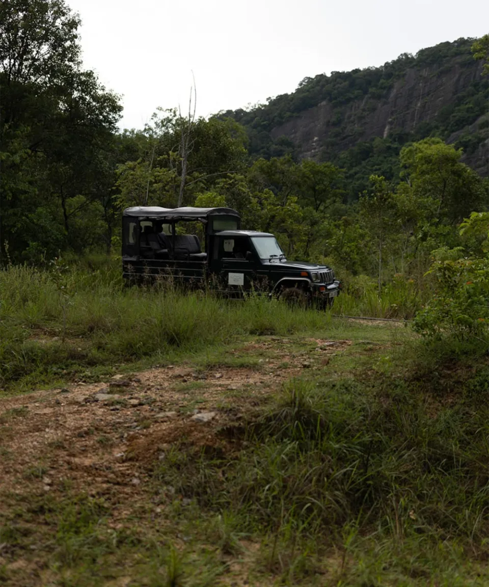 Gal Oya National Park-gallery — gallery photograph 3