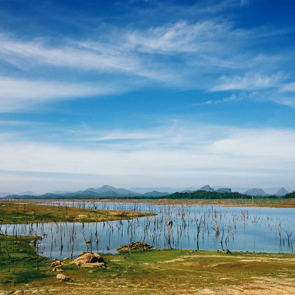 Gal Oya National Park-gallery — gallery photograph 6