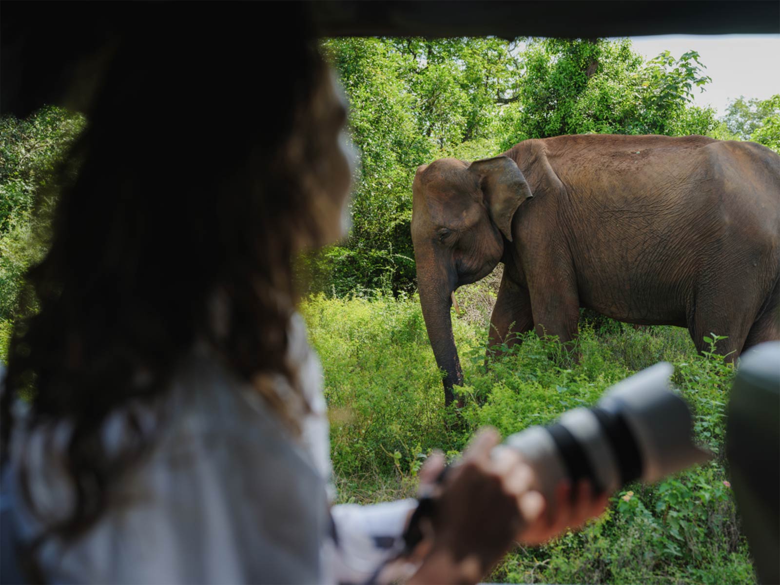Yala National Park-gallery