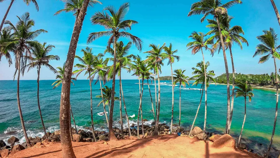 Mirissa Beach curves gently along Sri Lanka's southern coast, with pale sand meeting — hero photograph