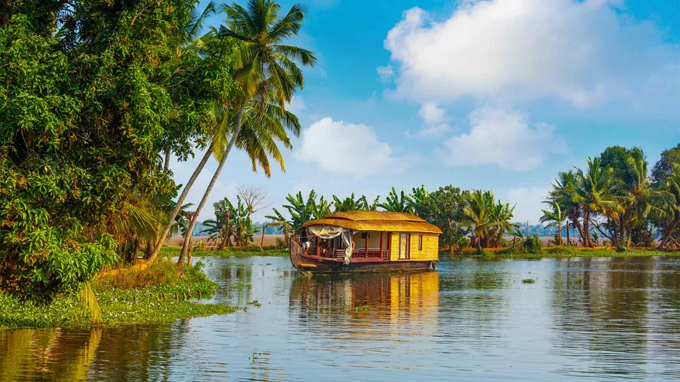 Backwaters — hero photograph