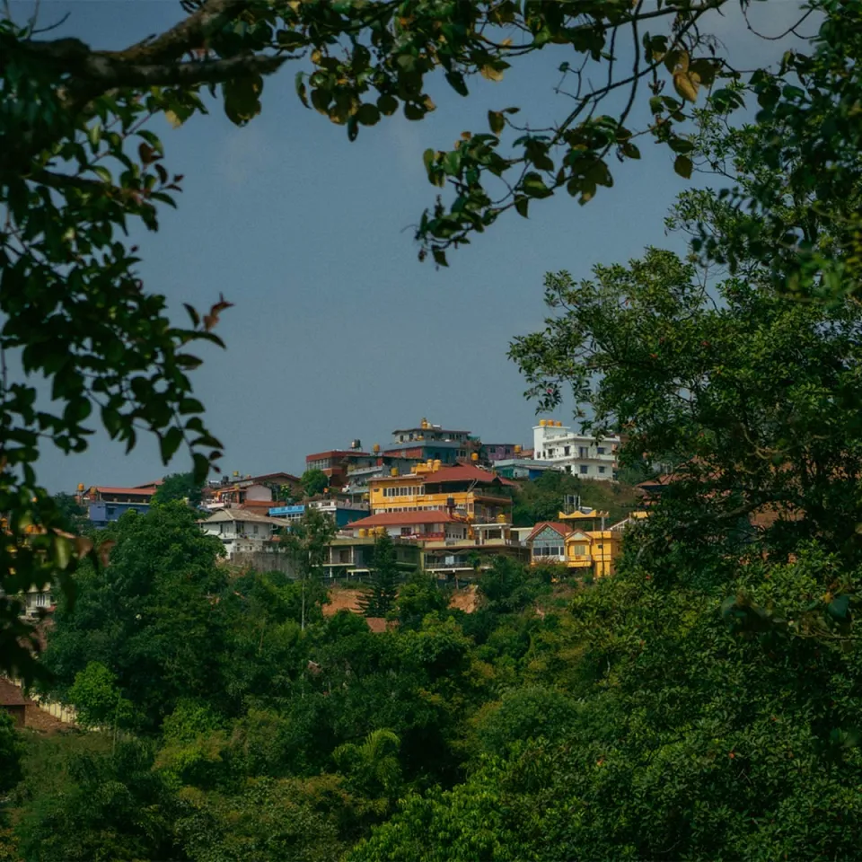 Coorg — travel photograph