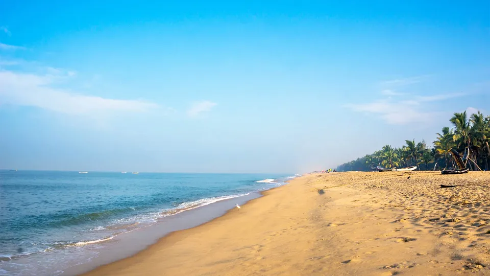 Marari Beach — hero photograph
