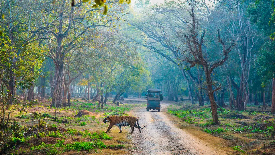Nagarhole — hero photograph
