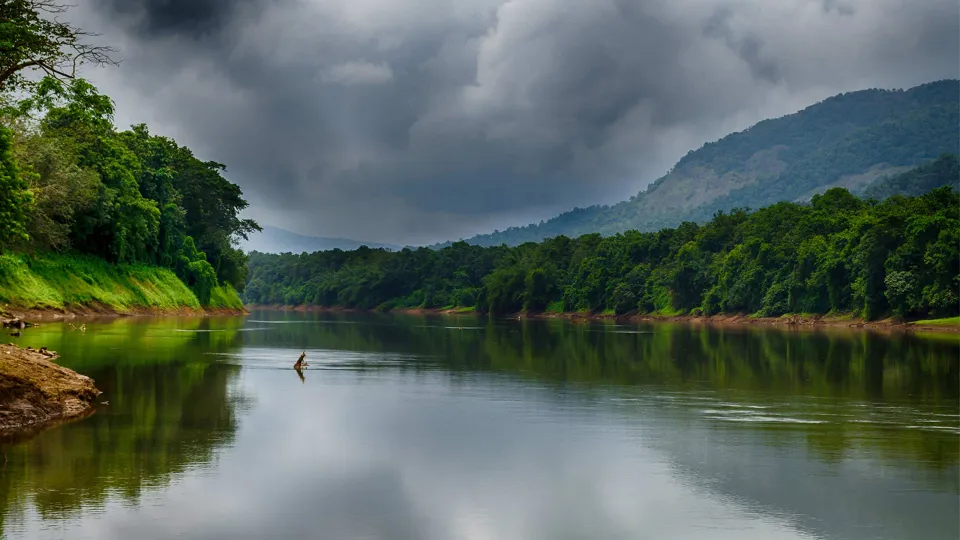 Thettekad Bird Sanctuary (Kothama) — hero photograph