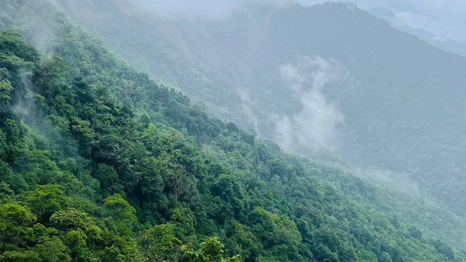 Wayanad — hero photograph