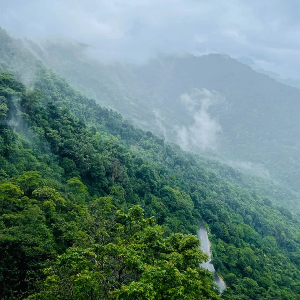 Wayanad — travel photograph