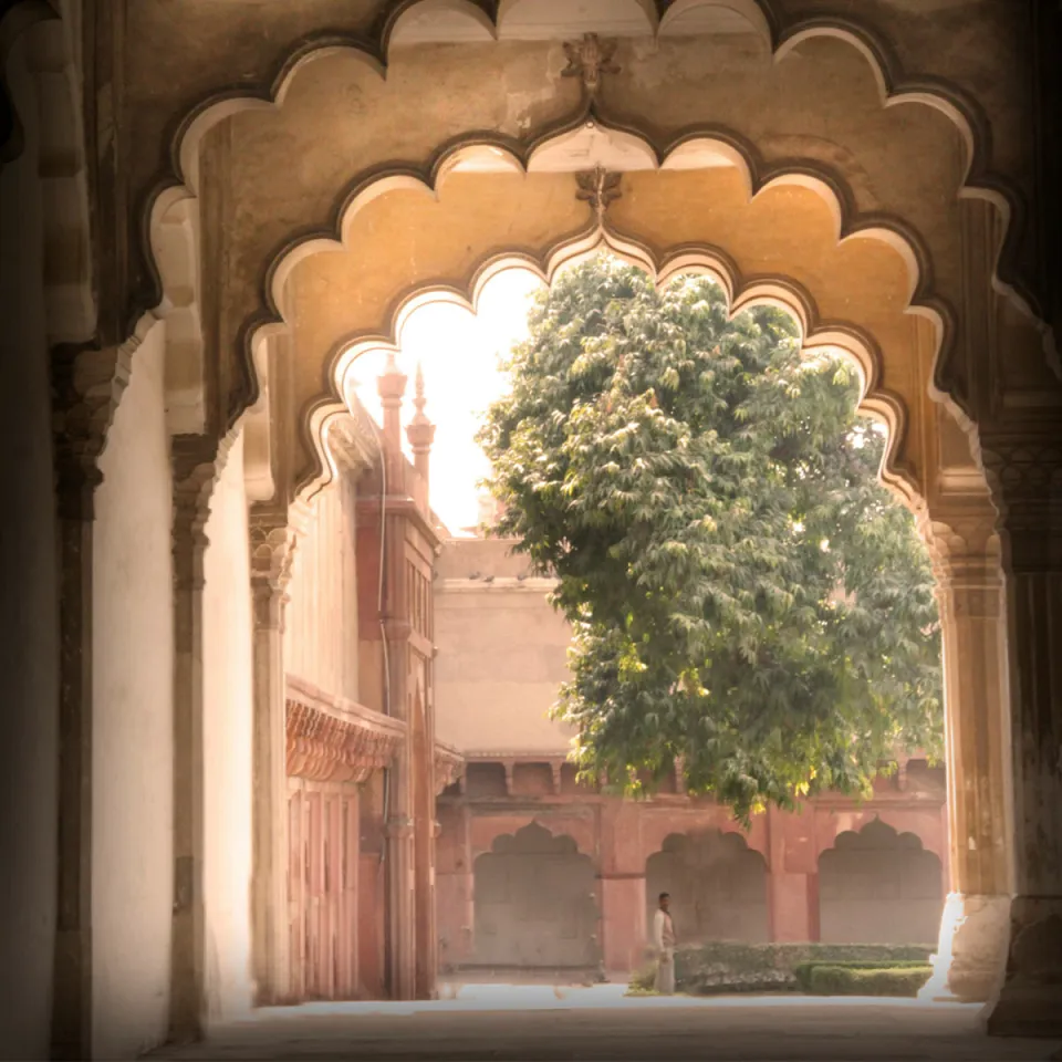 Delhi-gallery — gallery photograph 4
