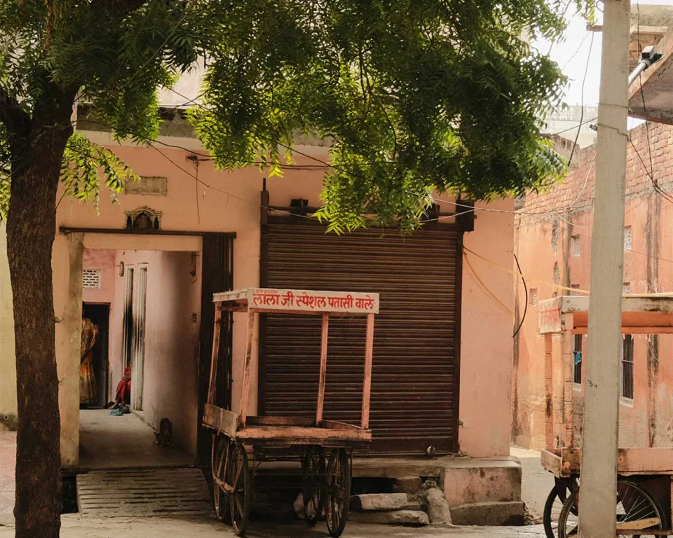 Jaipur-gallery — gallery photograph 4