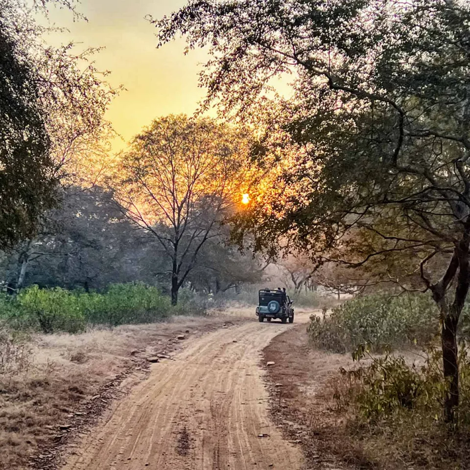 Ranthambore National Park — travel photograph