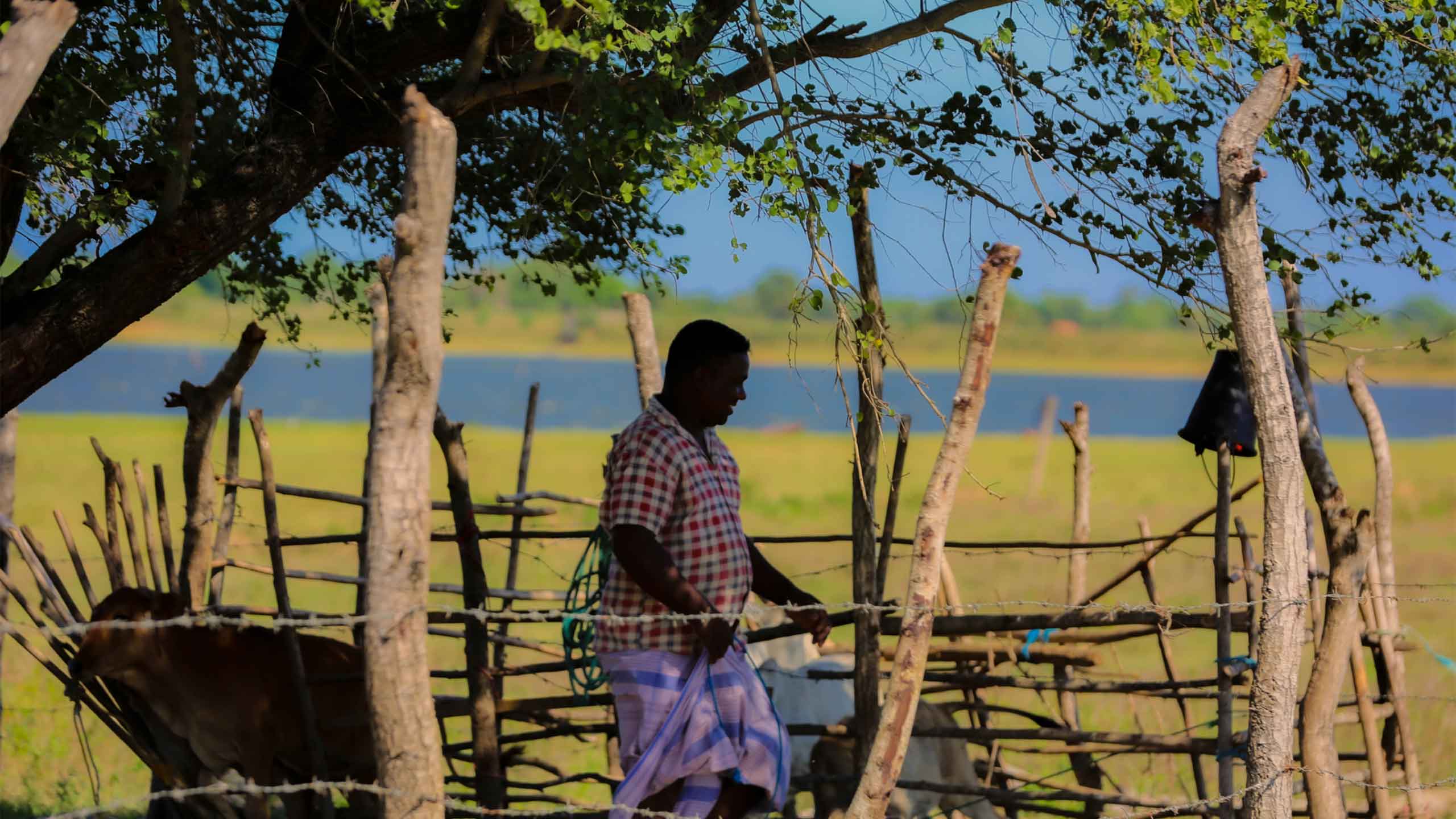 Unforgettable adventure showcasing local culture and breathtaking landscapes