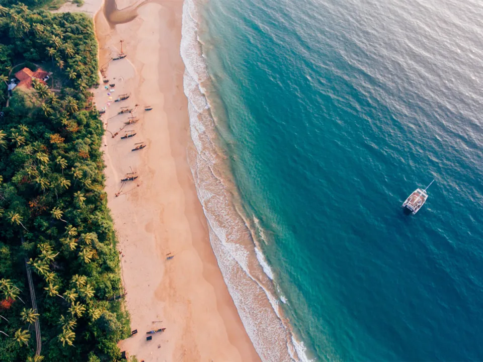 Join this shared whale watching expedition departing at 6:30am for a 6-hour journey into the Indian Ocean, where Sri Lanka's conti…