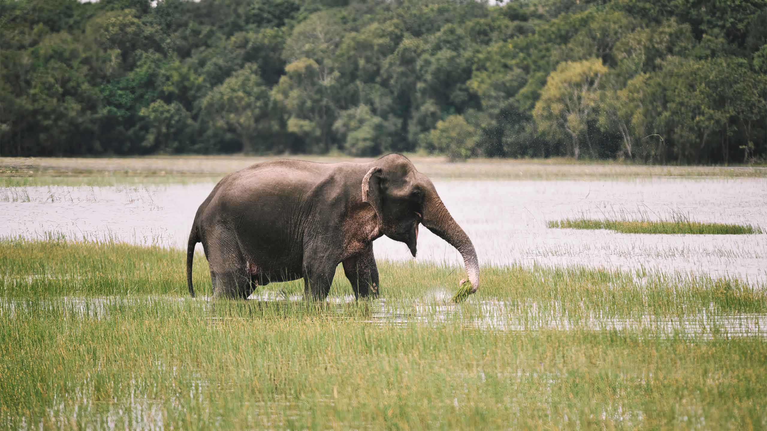 Unforgettable adventure showcasing local culture and breathtaking landscapes